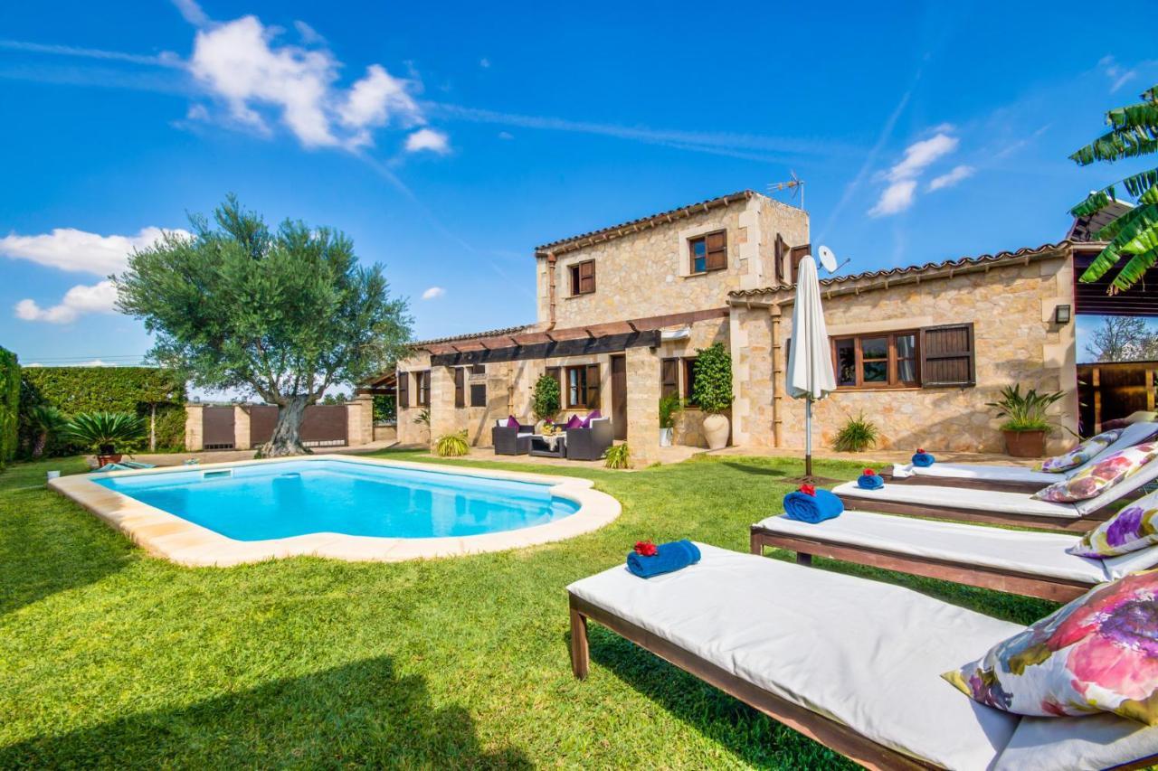 Ideal Property Mallorca - Es Puput ペトラ エクステリア 写真