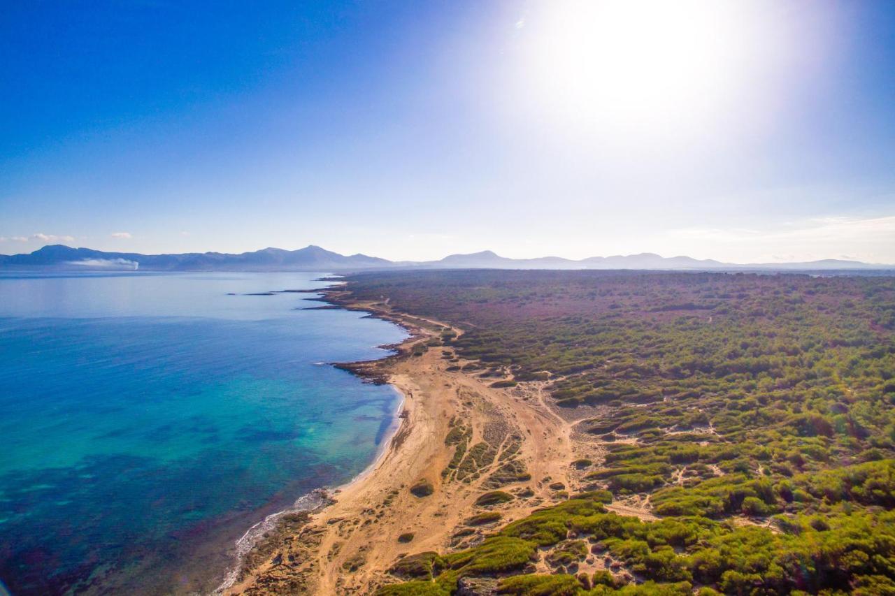 Ideal Property Mallorca - Es Puput ペトラ エクステリア 写真